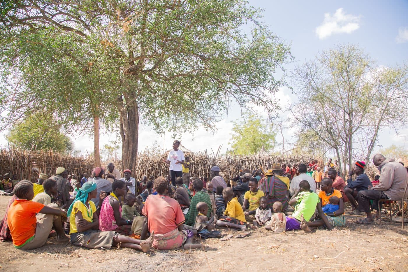 A community gathering under a large tree